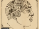 the-roots-phrenology