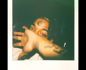 first-degree-single-thouxanbanfauni