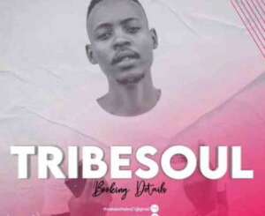 tribesoul-nkulee501-–-someday-ft-philharmonic