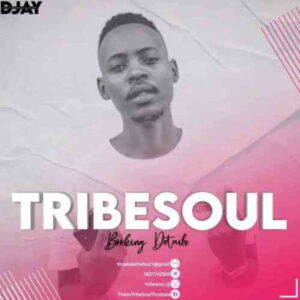 tribesoul-nkulee501-–-someday-ft-philharmonic