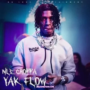 NLE-Choppa-Yak-Flow