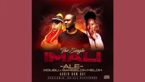 DOWNLOAD-ALE-–-Imali-Ft-Meloh-Barbielon-Xigubu-–.webp