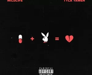 WILDLIFE-Single-Tyla-Yaweh