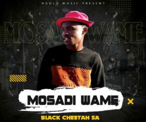 DOWNLOAD-Black-Cheetah-SA-–-Mosadi-Wame-–