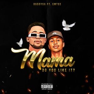 DOWNLOAD-BuddySA-–-Mama-Do-You-Like-It-ft-Emtee