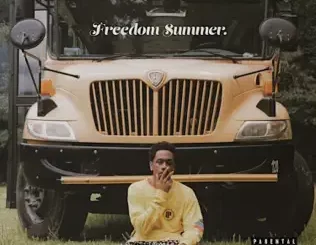 Freedom-Summer-Translee