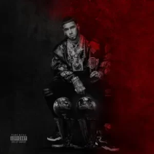 ALBUM-Anuel-AA-–-LLNM2