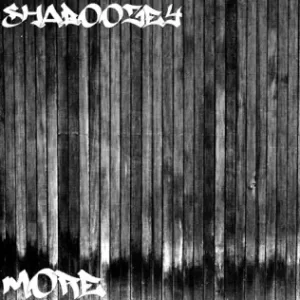 More-Single-Shaboozey