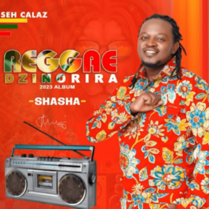 DOWNLOAD-Seh-Calaz-–-Reggae-Dzinorira-–