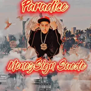 Paradise
MoneySign Suede