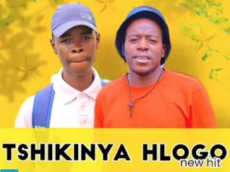 Nkgetheng The Dj & Mogamaphiri – Tshikinya Hlogo