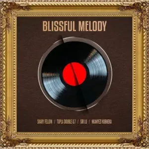 Skary Fellow, Tupla Double 0.7, Sir Lu & Nkanyezi Kubheka – Blissful Melody