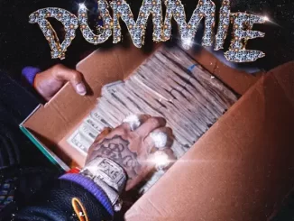 spotemgottem - Dummie