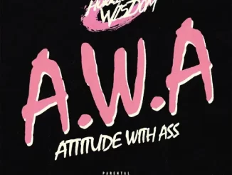 Hurricane Wisdom - A.W.A (Attitude With Ass)