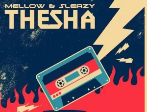 JAY’Mshanam – Thesha [Bootleg Mix]