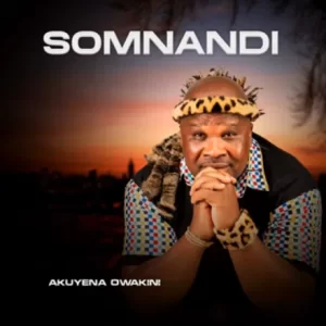 Somnandi – Ngawa Ngashelelela