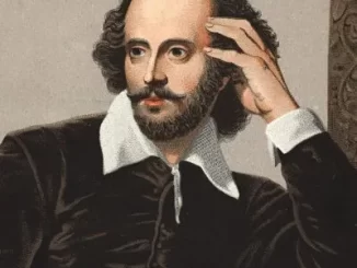 Sushi B – Shakespeare