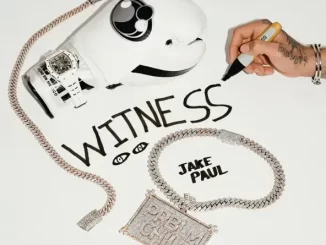 jake paul - witness