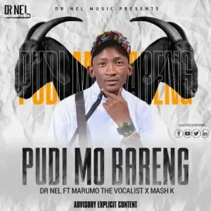 Dr Nel - Pudi Mo Bareng ft Marumo The Vocalist & Mash K