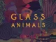 Glass Animals – Pool