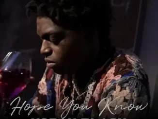 Kodak Black - Hope You Know