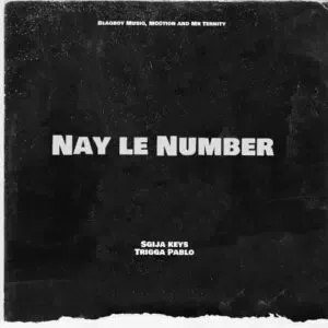 Sgija Keys & TriggaPablo - Nay Le Number Ft. Blaqboy Musiq, M00tion & Mr Ternity