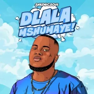 Shazmicsoul - Dlala Mshumaye Ft. CowBoii