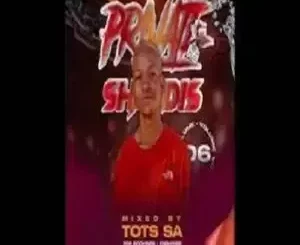 Tots SA - Private Shandis Vol. 06