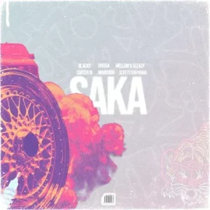 Blacko SA, Mellow & Sleazy & Carter – Saka ft. Novatron, Shuga & Scotts Maphuma