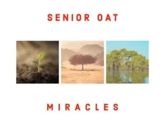 Senior Oat - Reason To Pray ft Ms Abbey & AndyLesh