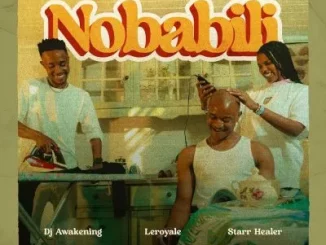 LeRoyale & DJ Awakening ft Starr Healer - Nobabili